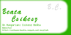 beata csikesz business card